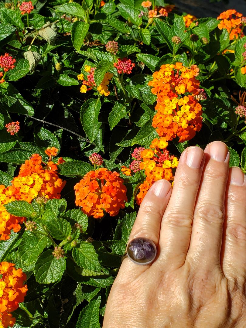 CHAKRA RING FOR HELPING WITH THE ENERGY OF THE CROWN CHAKRA: Small Round Resin Ring w/Amethyst Crystals/Bronze Hardware