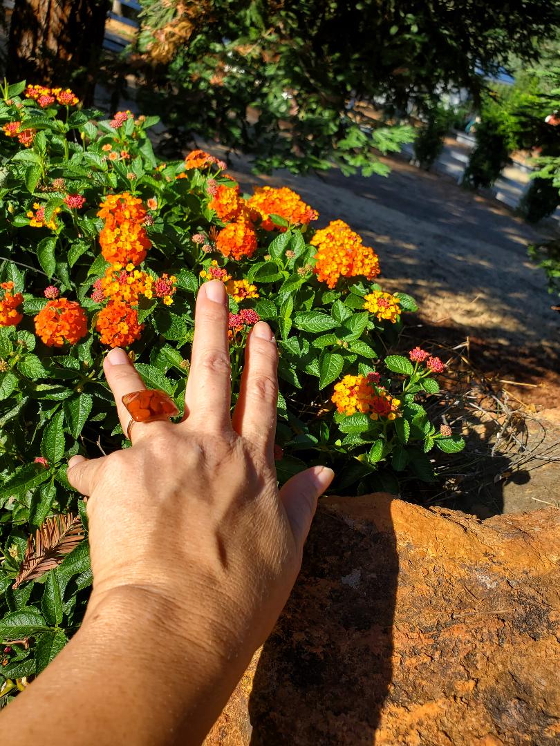 CHAKRA RING FOR HELPING WITH THE ENERGY OF THE ROOT OR SACRAL CHAKRA:  RESIN SQUARE FILLED WITH RED JASPER/ ROSE GOLD HARDWARE