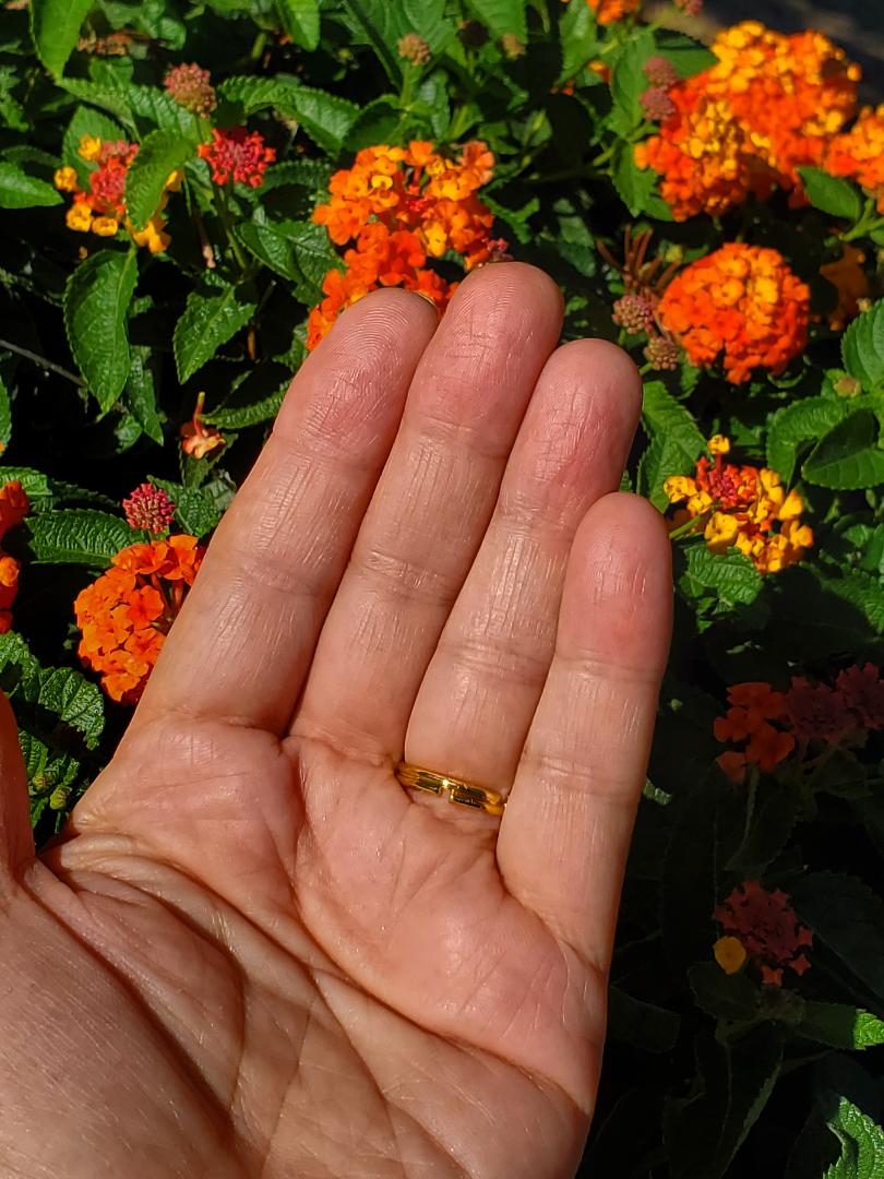 CHAKRA RING FOR HELPING WITH THE ENERGY OF THE SOLAR PLEXUS- OVAL SHAPED RESIN, YELLOW JASPER AND CITRINE CRYSTALS GOLD HARDWARE