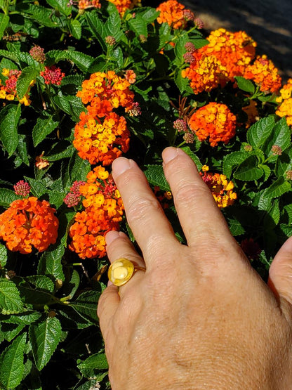 CHAKRA RING FOR HELPING WITH THE ENERGY OF THE SOLAR PLEXUS- OVAL SHAPED RESIN, YELLOW JASPER AND CITRINE CRYSTALS GOLD HARDWARE